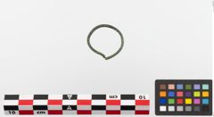 Foto von Bronzering (NHMW-PRAE-023777)